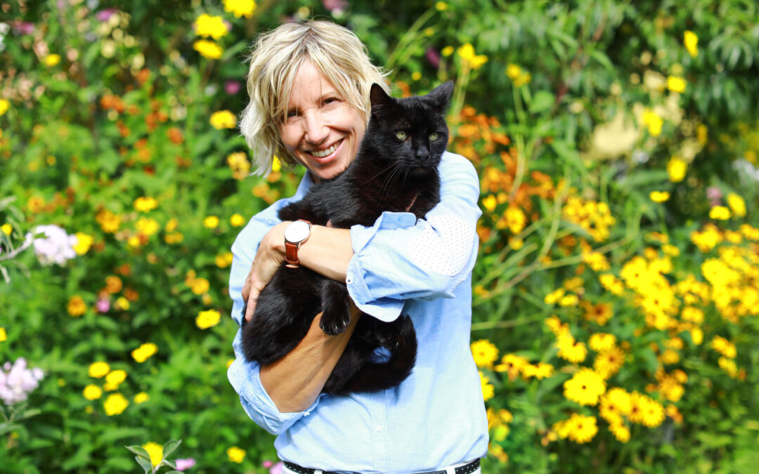 Natürliche Futterergänzung für Tiere